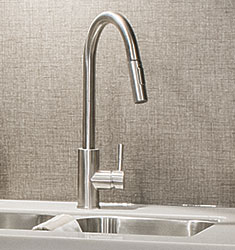 Spree Stainless Steel Kitchen Faucet