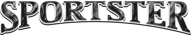 2019 KZ RV Sportster Logo