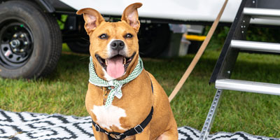 2026 KZ RV Sportsmen SE 301DBSE Travel Trailer Exterior Feature Photos 1