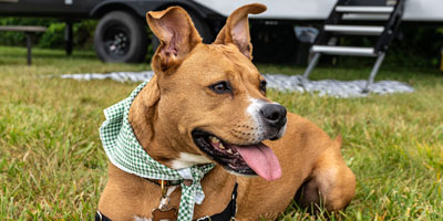 2026 KZ RV Sportsmen SE 301DBSE Travel Trailer Exterior Feature Photos 2