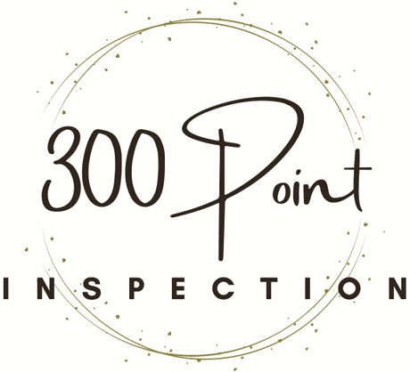 KZ RV 300 Point Inspection